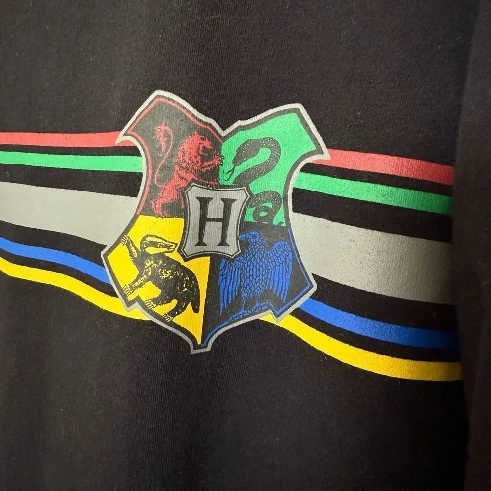 Harry Potter Hogwarts Hoodie Sweatshirt Youth Unisex Sz 2XL Black Pullover
